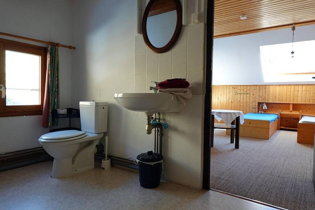 Appartement Dans Vielle Ferme Au Coeur Des Vosges Plainfaing Exterior foto