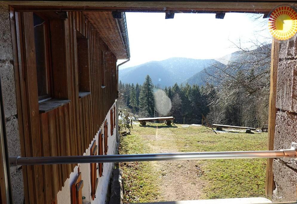 Appartement Dans Vielle Ferme Au Coeur Des Vosges Plainfaing Exterior foto